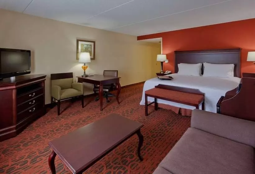 キングサイドベッドのスタンダードワンルーム, Hampton Inn Rochesterwebster