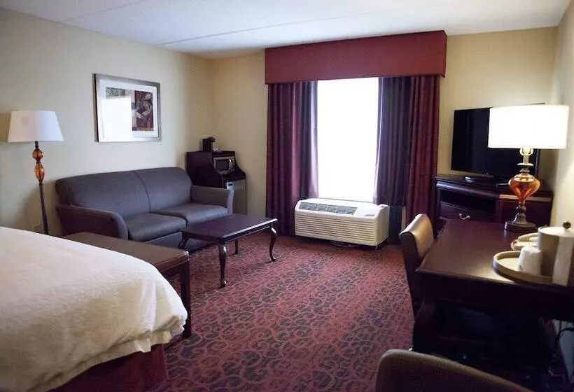 キングサイドベッドのスタンダードワンルーム, Hampton Inn Rochesterwebster
