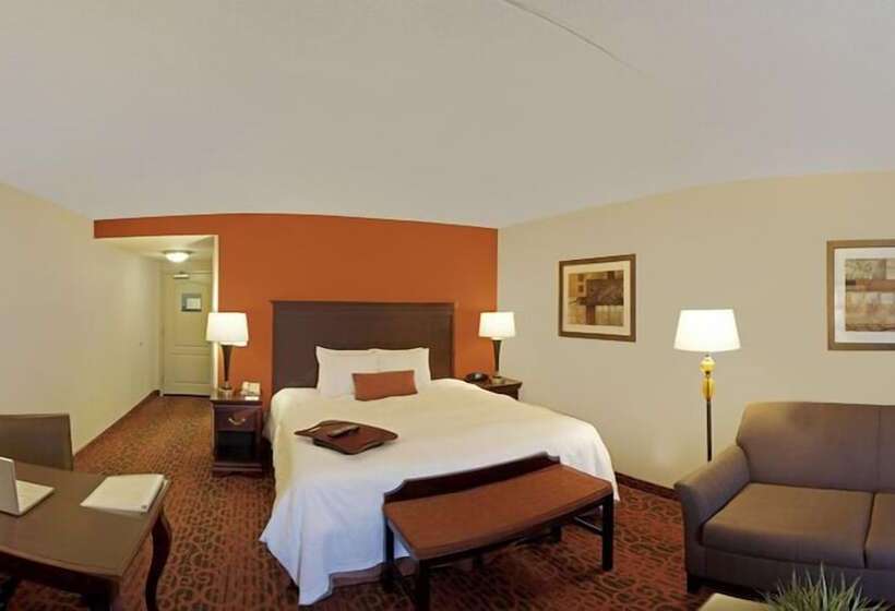 סטודיו סטנדרט, מיטה זוגית, Hampton Inn Rochesterwebster