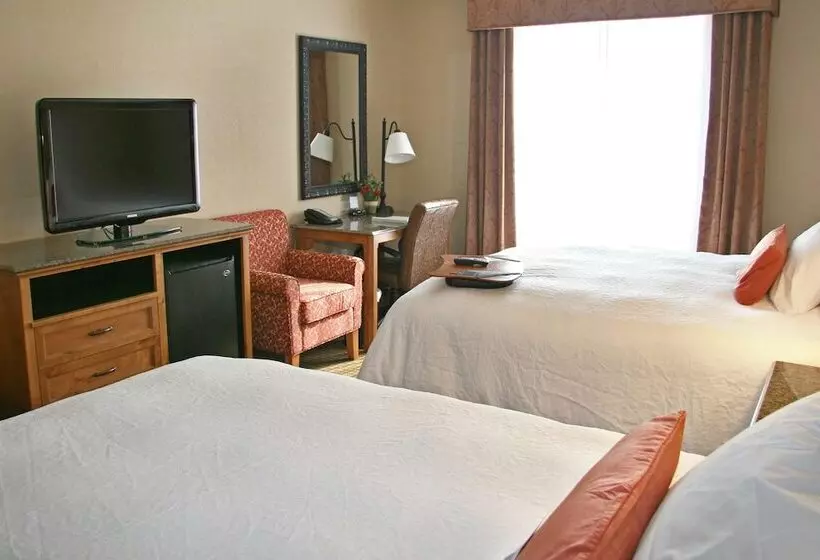 スタンダードルーム, Hampton Inn & Suites Buffalo