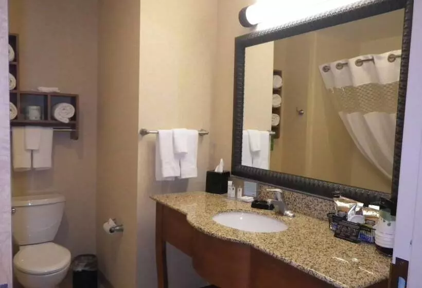 スタンダードルーム, Hampton Inn & Suites Buffalo