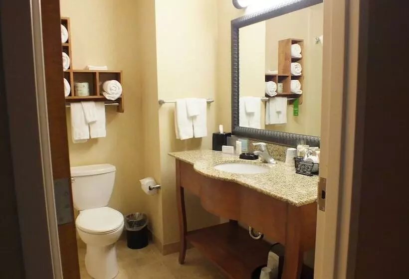 スタンダードルーム, Hampton Inn & Suites Buffalo
