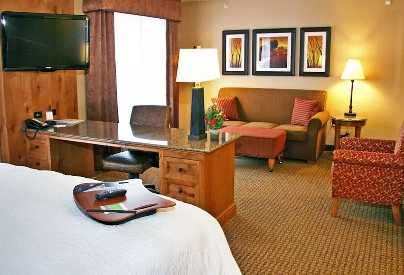 スタンダードスタジオ, Hampton Inn & Suites Buffalo