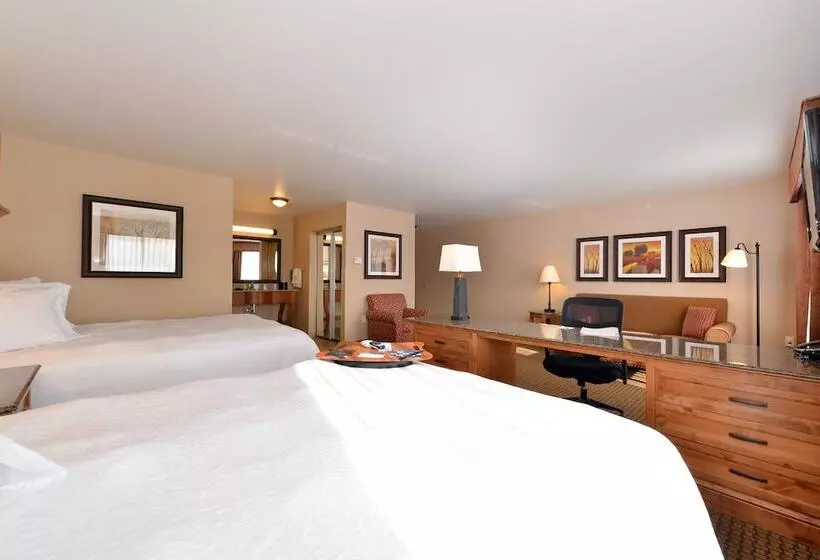 スタンダードスタジオ, Hampton Inn & Suites Buffalo