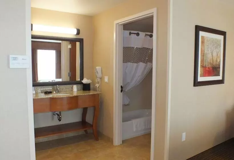 スタンダードスタジオ, Hampton Inn & Suites Buffalo