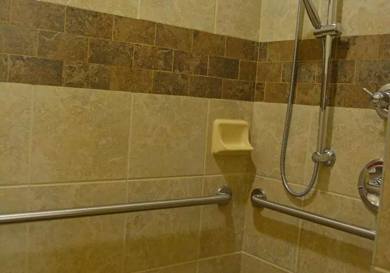 キングサイドベッドのスタンダードワンルーム, Hampton Inn & Suites Buffalo