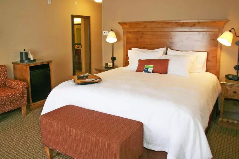 キングサイズベッドのスタンダードルーム, Hampton Inn & Suites Buffalo