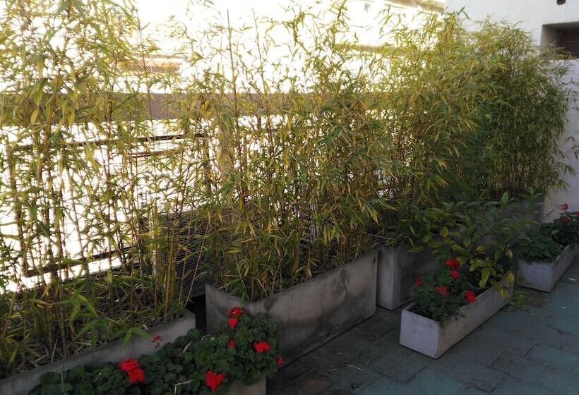 Chambre Standard, A&b Internacional