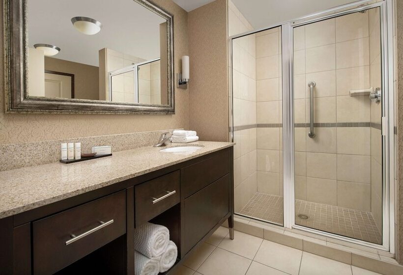 エクゼクティブルーム, Embassy Suites By Hilton Birmingham Hoover