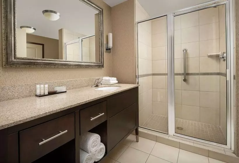 エクゼクティブルーム, Embassy Suites By Hilton Birmingham Hoover