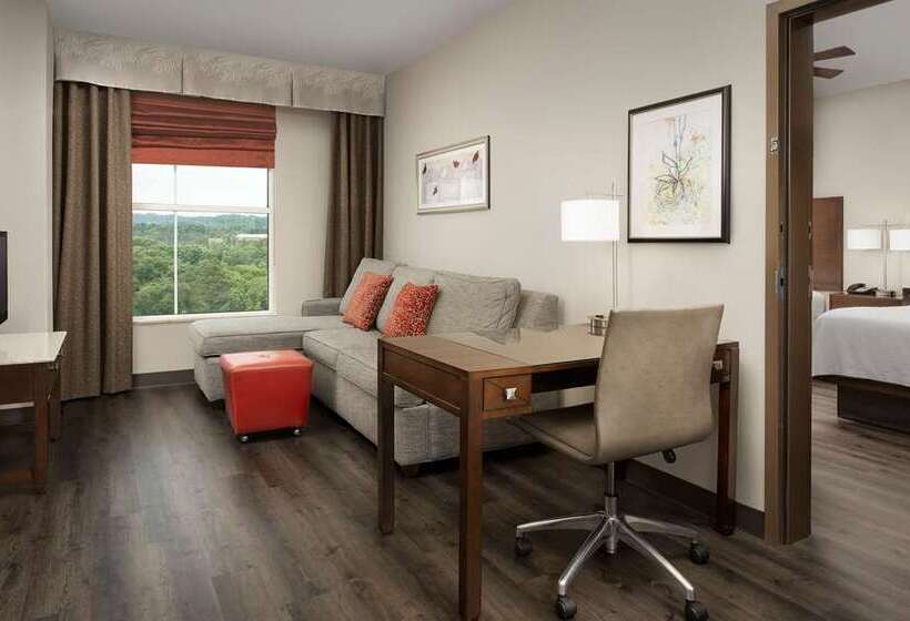 Номер Стандарт, Embassy Suites By Hilton Birmingham Hoover