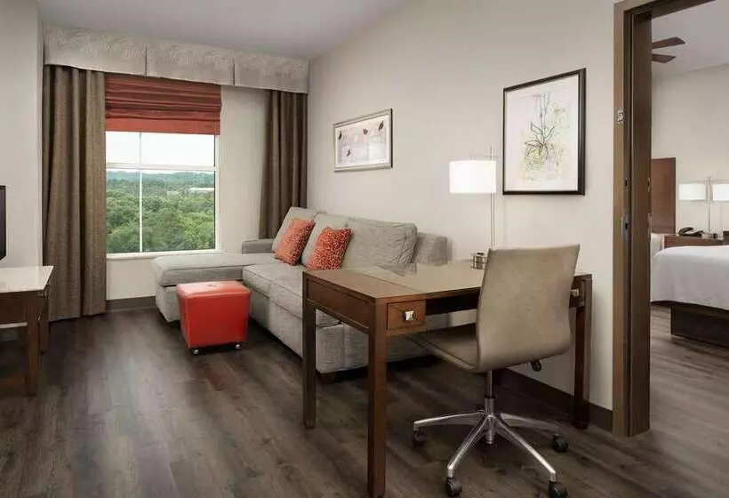 スタンダードルーム, Embassy Suites By Hilton Birmingham Hoover