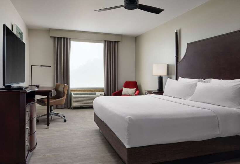 スタンダードルーム, Embassy Suites By Hilton Birmingham Hoover