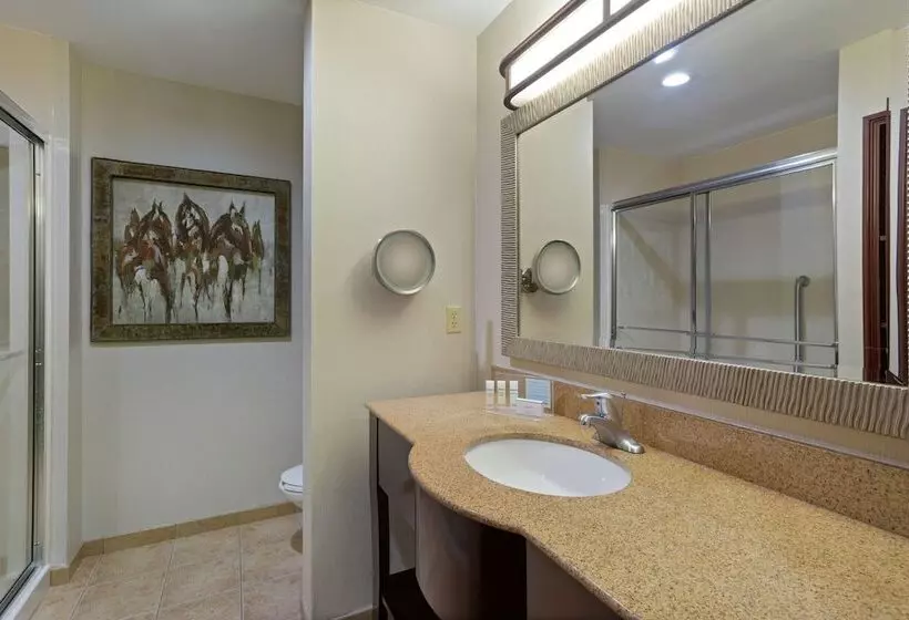ダブルベッドスタンダードルーム, Hampton Inn & Suites Wellington