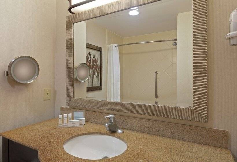 غرفه قياسيه سريرين مزدوجين, Hampton Inn & Suites Wellington