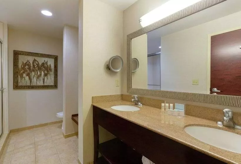 ２ダブルベッドのスタンダードルーム, Hampton Inn & Suites Wellington