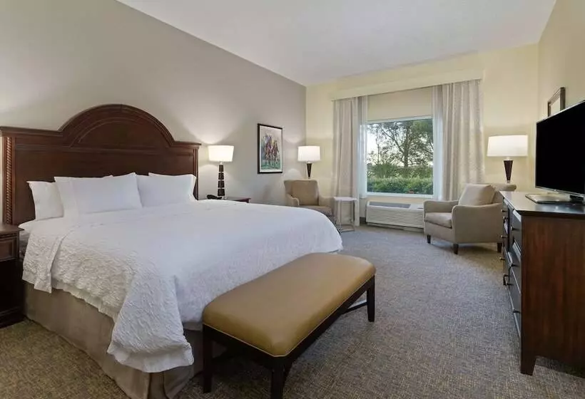 １ベッドルームアパートメント, Hampton Inn & Suites Wellington