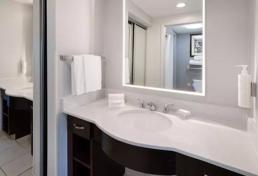 キングサイズベッドのスイートルーム, Homewood Suites By Hilton Rochester/greece, Ny