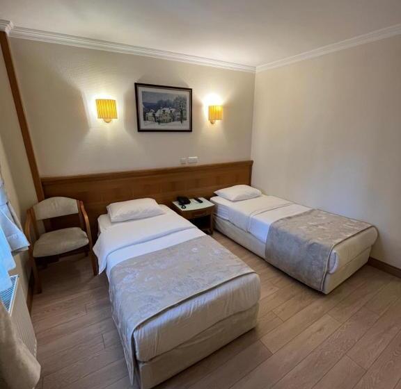 スタンダードシングルルーム, Yavuz Otel