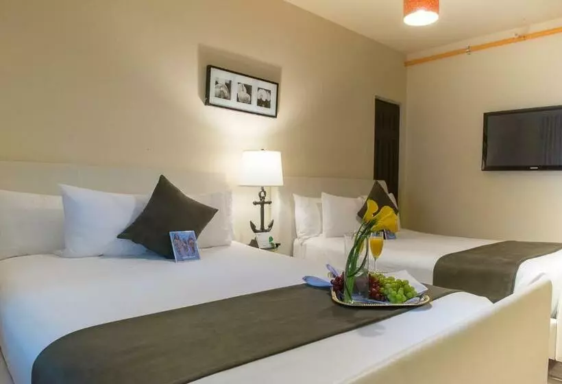 آپارتمان 1 خوابه, Tradewinds Apartment Hotel Miami Beach