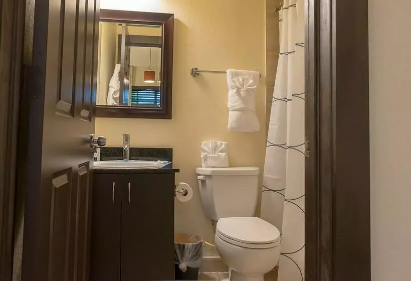 آپارتمان 2 خوابه, Tradewinds Apartment Hotel Miami Beach