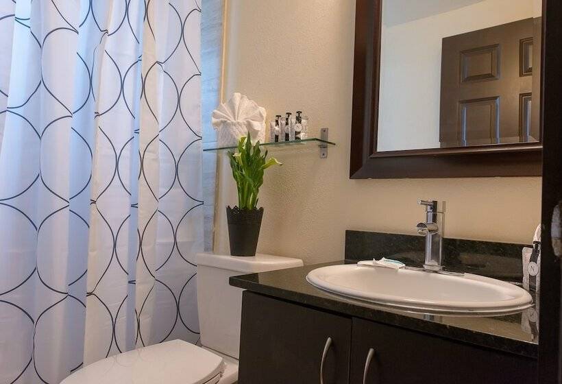 דירת שני חדרים, Tradewinds Apartment Hotel Miami Beach