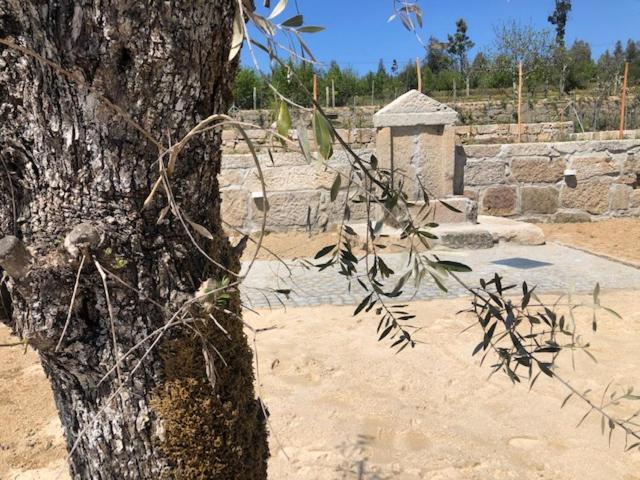 シャレー1寝室, Solar Da Serra Guesthouse