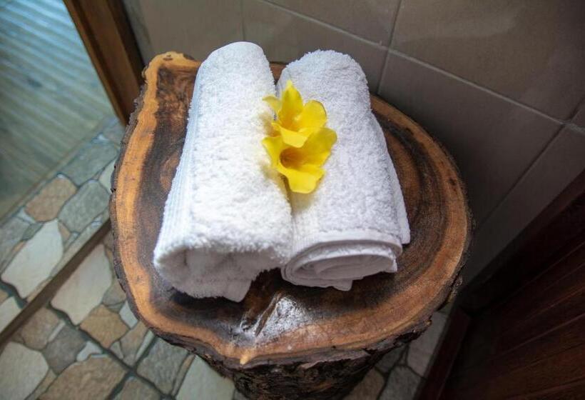 اتاق استاندارد, Villa Paradise Rodrigues