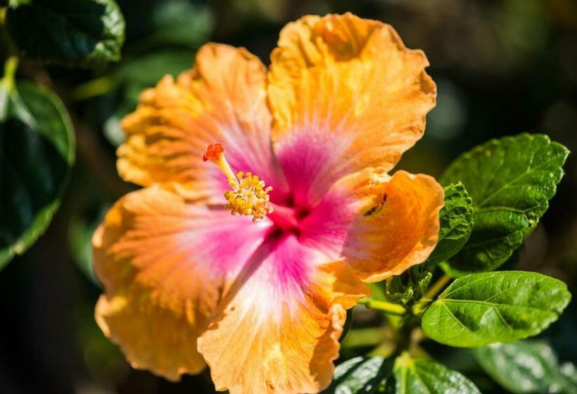 标准间, Bears  Place Guest House