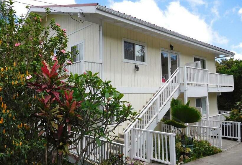 标准间, Bears  Place Guest House