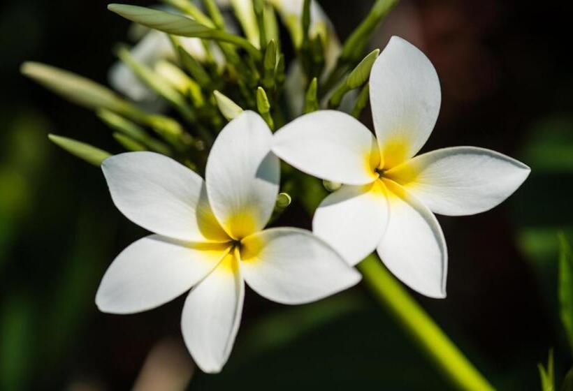 标准间, Bears  Place Guest House