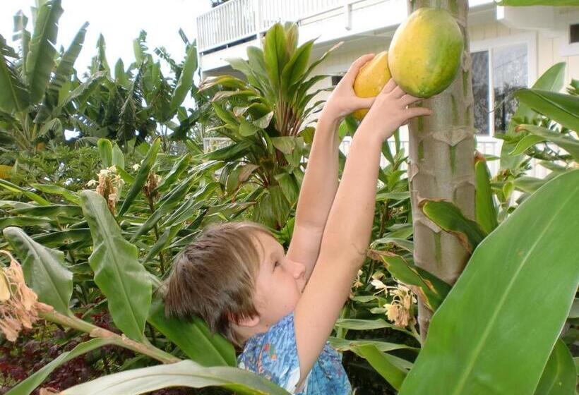 带海景标准四人间, Bears  Place Guest House