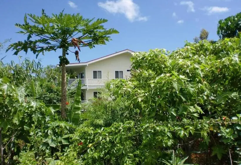 اتاق استاندارد سه تخته با چشمانداز باغ, Bears Place Guest House