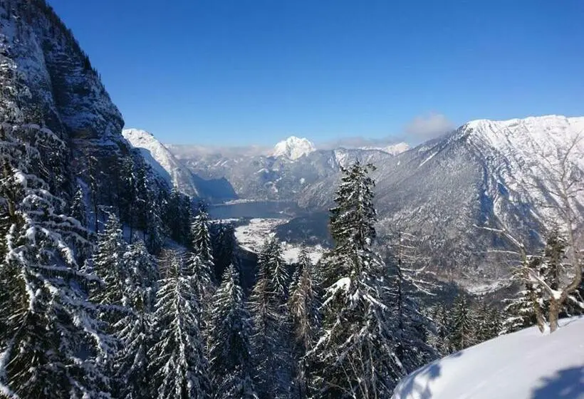バルコニー付きスタンダードルーム, Sportpension Schober
