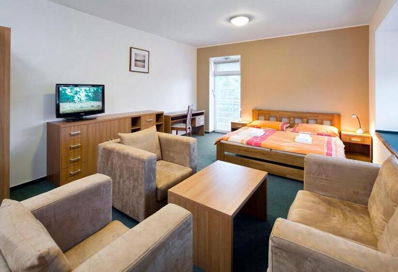 חדר דלוקס, Lipovka Penzion