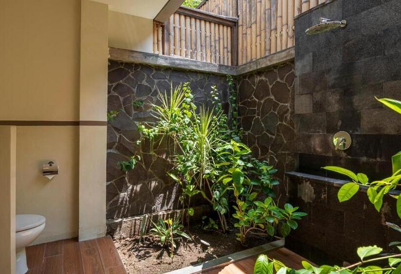 Номер Deluxe, The Beach House Resort