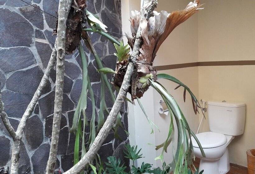 Номер Deluxe, The Beach House Resort