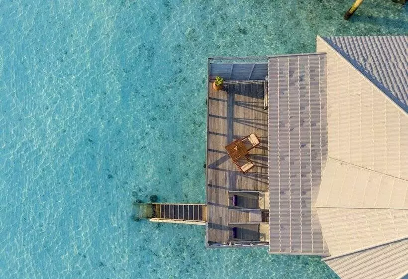 ویلای 1 خوابه با چشمانداز دریا, Komandoo Maldives Island Resort