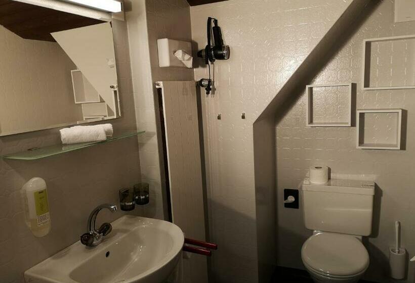 标准间, Gasthaus Friedegg