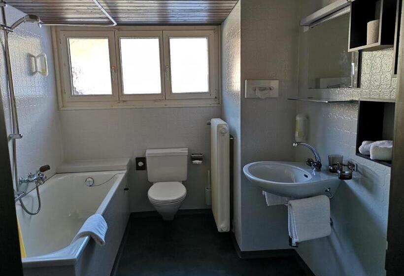 标准间, Gasthaus Friedegg