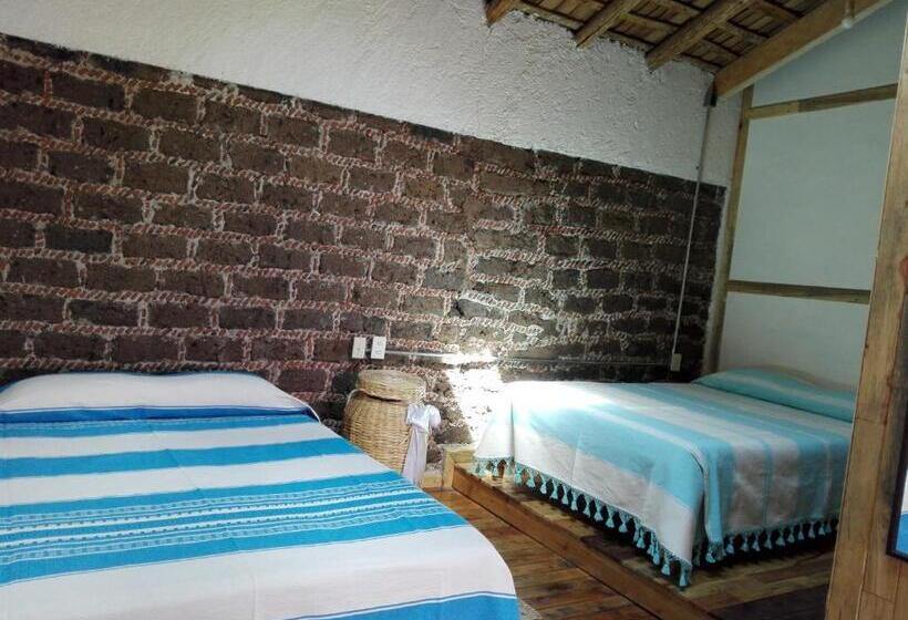 غرفة قياسية, Casa Del Siglo Xvii