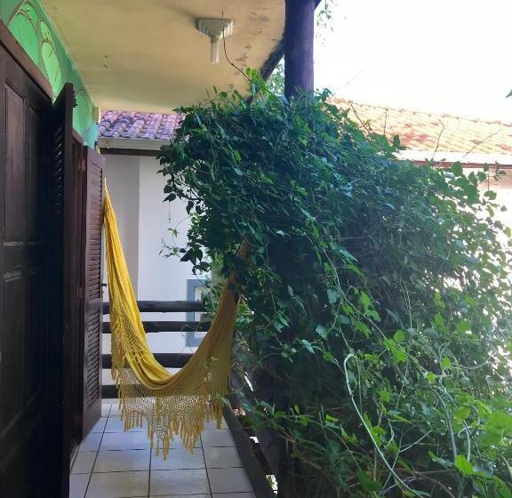 이코노미 룸, Amarelo Hibisco