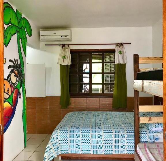 스탠다드 스튜디오, Amarelo Hibisco