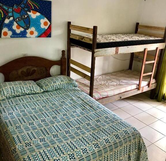 스탠다드 스튜디오, Amarelo Hibisco