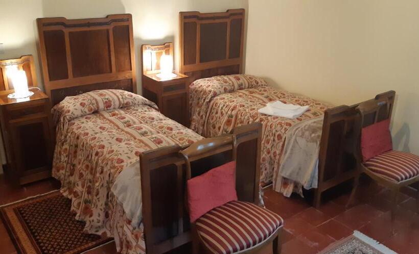 חדר פרמיום לארבעה, Alle Zagare