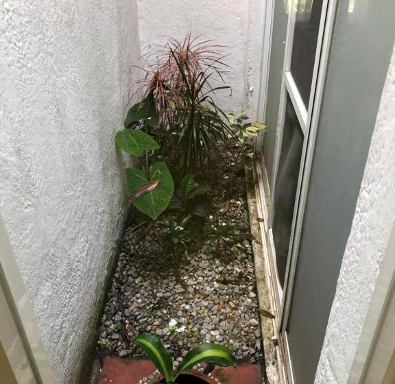 اتاق لوکس با تخت بزرگ, Sky & Palms