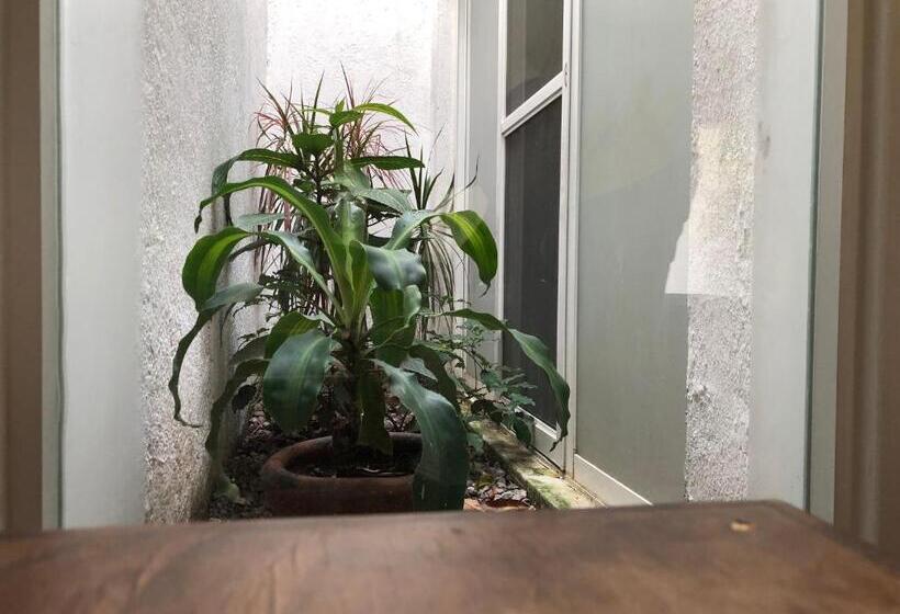 스탠다드 룸, Sky & Palms