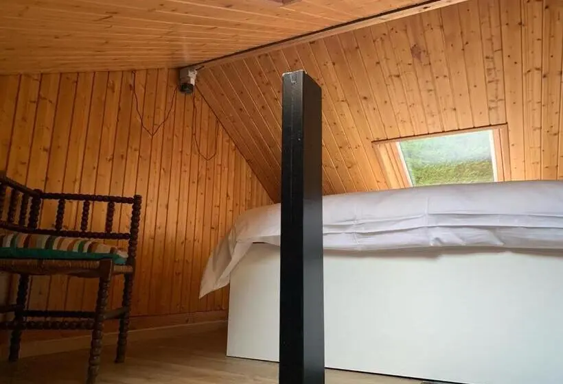 Camera Economy, Puur B&b