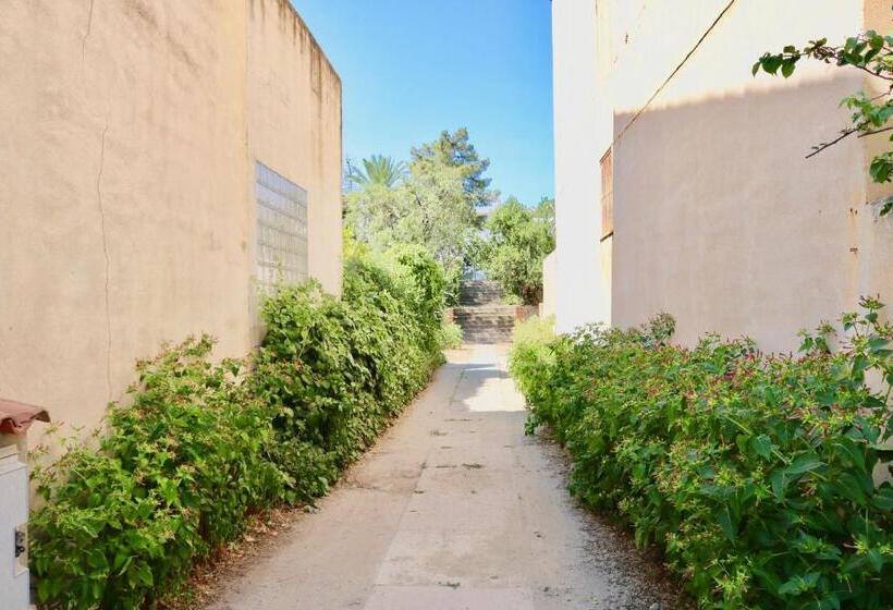 スタンダードルーム, Il Profumo Di Ginestre