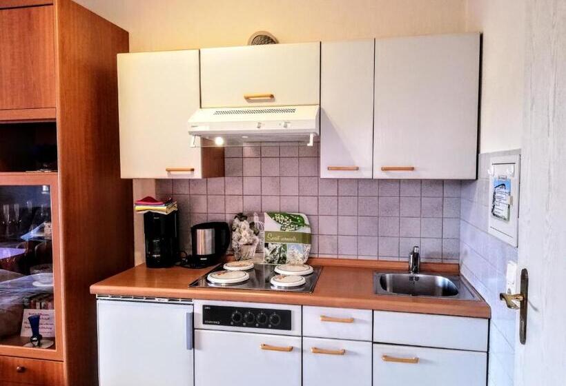 شقة غرفة نوم واحدة مزودة بشُرفة, Haus Royal